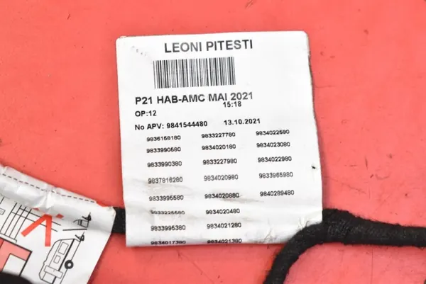 Faisceau intérieur OEM 9841544480 pour Peugeot E208 image 8