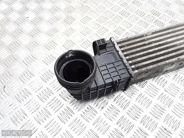 2009 Mercedes E Klasse Koelradiator 3000cdi a2115003902 image 2