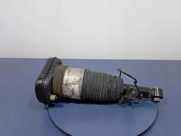 Mola de ar OEM 958345/Ambit traseira esquerda BMW X6 image 2