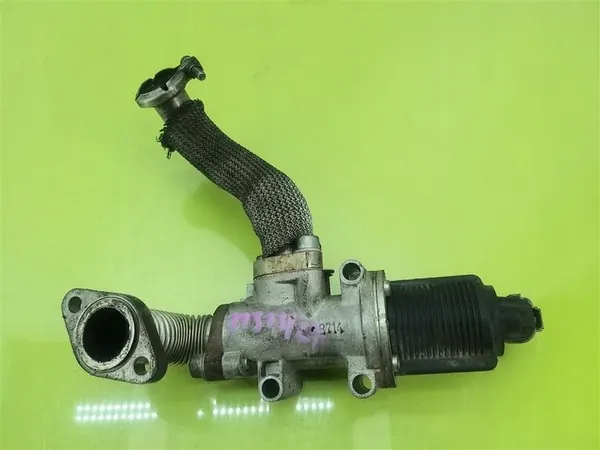 Válvula EGR Fiat Bravo II 2007-2014 1.9 JTD 50024005 image 1