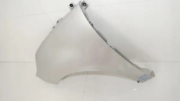 Para-lamas dianteiro esquerdo OEM 360204532 para Renault Scenic III image 3
