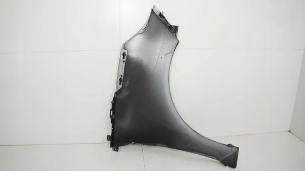 Para-lamas dianteiro esquerdo OEM 360204532 para Renault Scenic III image 7