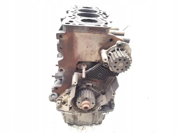 Bloco Motor Completo Skoda Octavia 2009 Diesel image 4
