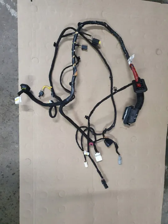 Harness da porta dianteira esquerda OEM 91601-N7010 image 2