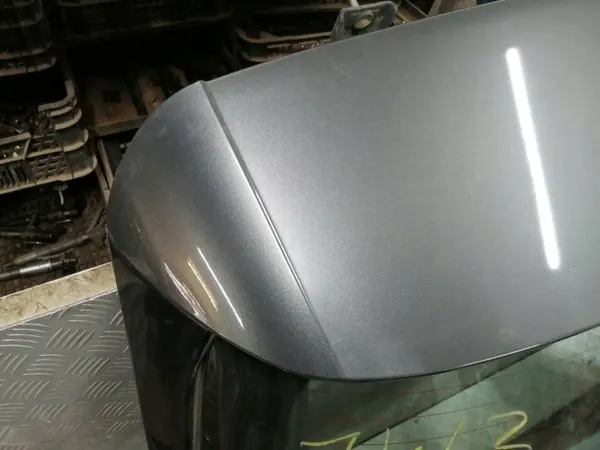 Puerta Trasera FRE59425 OEM para Citroen C4 Picasso II image 7