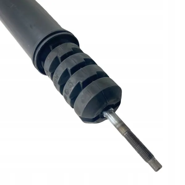 Ammortizzatore posteriore Dacia Duster II 562106321R image 10