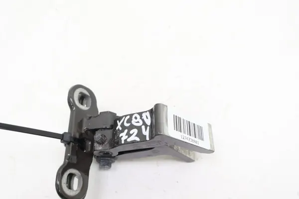 Volvo XC90 II Vasemman Takaoven Sarana OEM 31424587 image 5