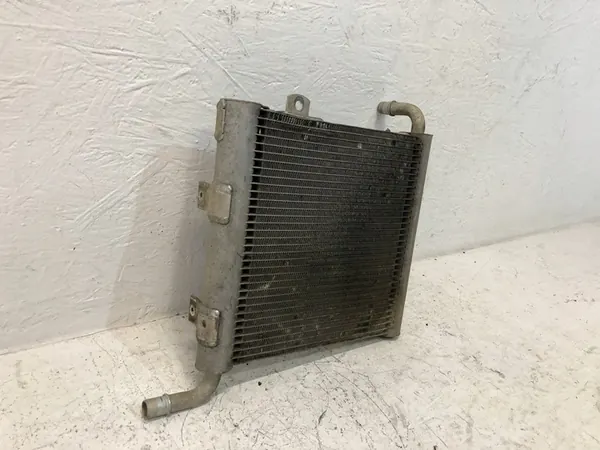 Radiador de agua Land Rover OE HK83-8D048-AB image 5