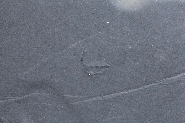 Motorhuvudisolering BMW G30 G31 7352219 image 3