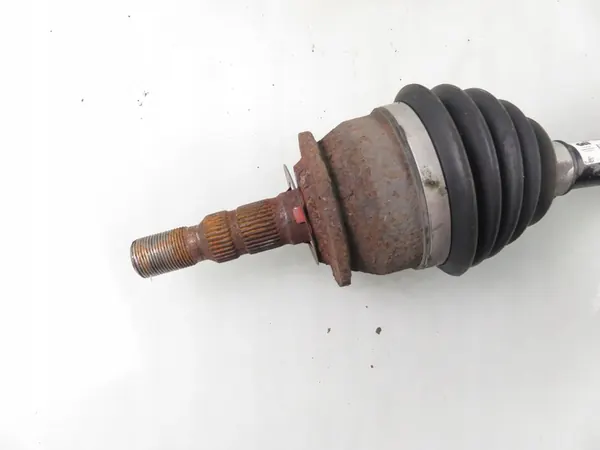 POLOS LP 13335145 image 2