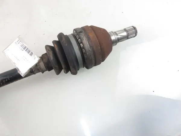 POLOS LP 13335145 image 3