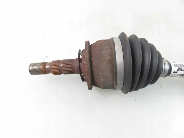 POLOS LP 13335145 image 5