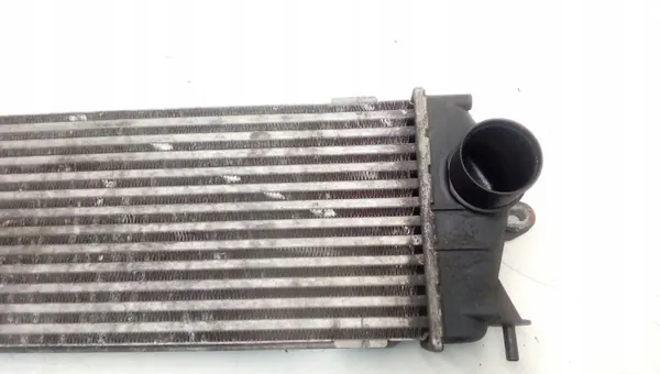 Intercooler OEM 988650B pour Nissan Primastar image 3