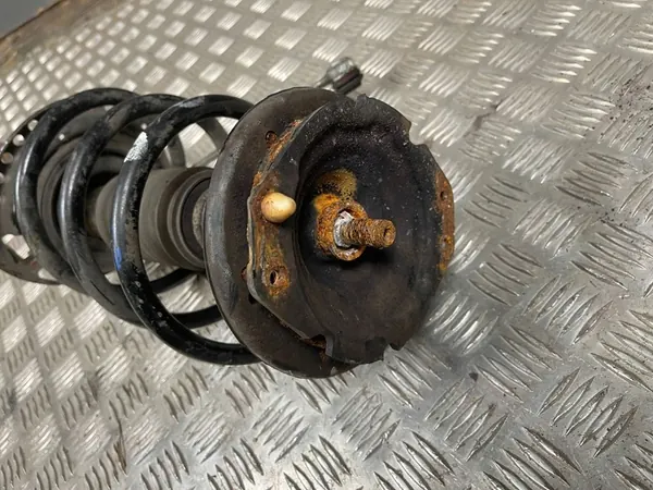 Ammortizzatore posteriore sinistro Renault Espace IV 2008 OEM 8200620347 image 10