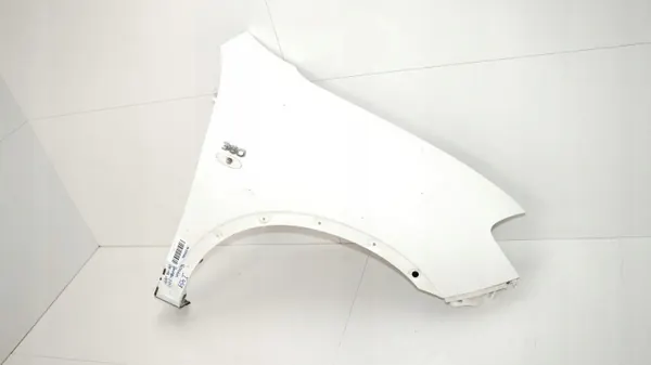 Voor rechter spatbord OEM 365577557 Nissan Qashqai J10 image 3