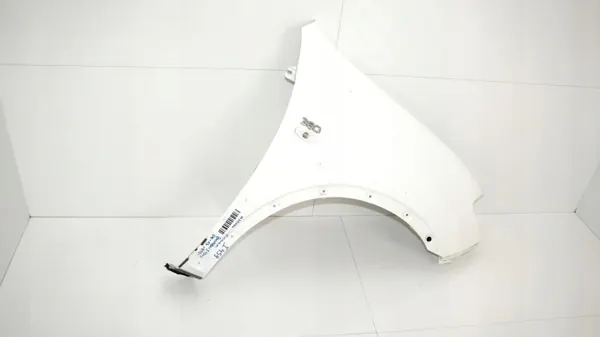 Voor rechter spatbord OEM 365577557 Nissan Qashqai J10 image 4