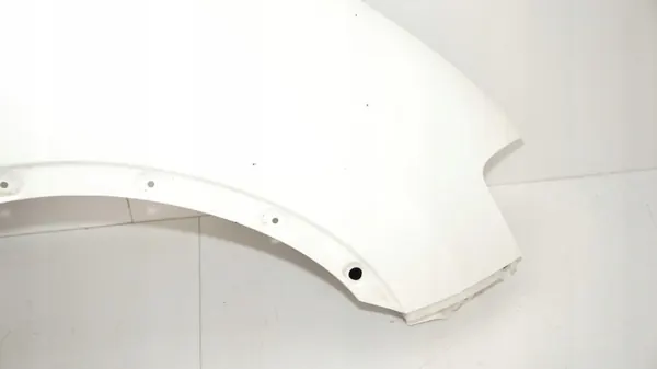Voor rechter spatbord OEM 365577557 Nissan Qashqai J10 image 6