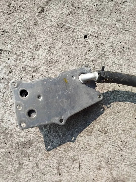 Refroidisseur d'huile Mercedes-Benz CLA C117 X117 W117 11063503 image 2