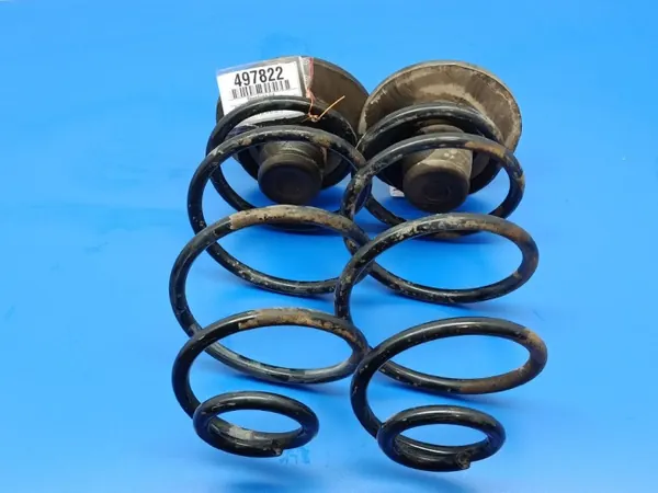 Muelles traseros OEM CADILAK-Bochnia-497822- 2pcs image 3