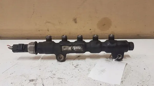 Peugeot 307 2004 Brandstofrail 9654592680 image 5