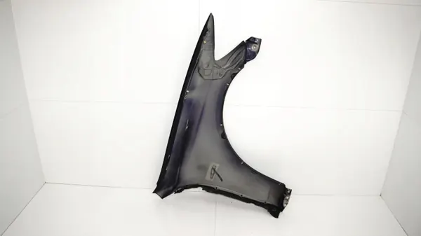Para-lamas dianteiro esquerdo OEM 360164618 Lexus GS450 05-09 image 10