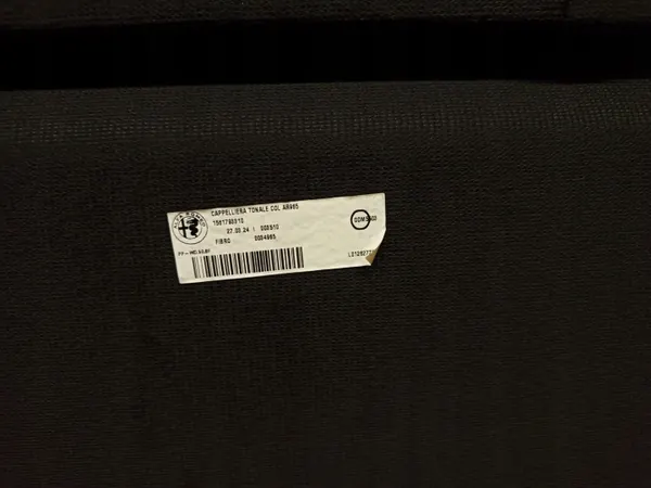 Kofferraumablage Dodge Hornet OEM 1561793310 - Heck image 6