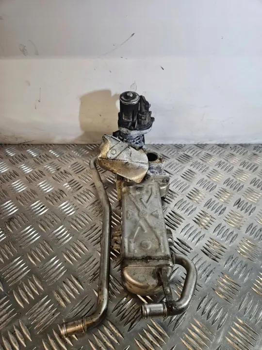 EGR-Kühler OEM 03P131512D für Volkswagen Polo V image 3