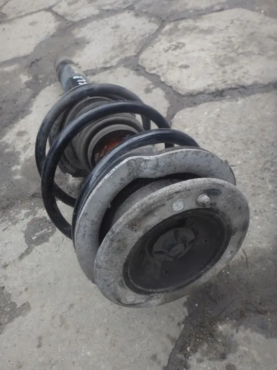 Ammortizzatore anteriore sinistro BMW E46 image 7