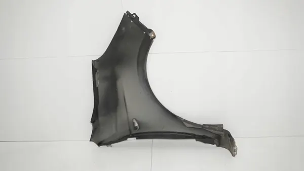OEM 360195850 Fram vänster stänkskärm för Hyundai i20 image 9