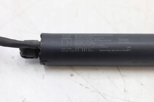 Elaktiska bakluckaaktuatorer Hyundai Santa Fe IV 2021 image 4