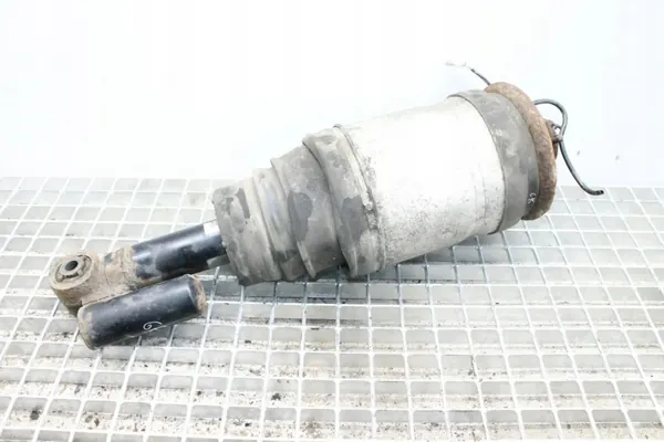 Amortisseur pneumatique arrière droit OEM 22260148 Range Rover image 2