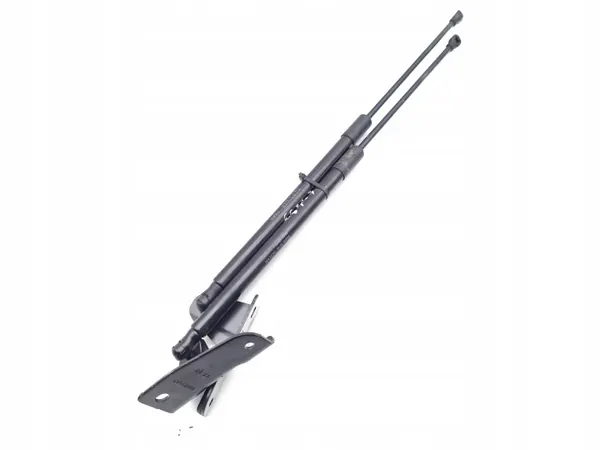 OEM 9841149780 Amortecedor Portinhola Peugeot Esquerdo Traseiro image 2