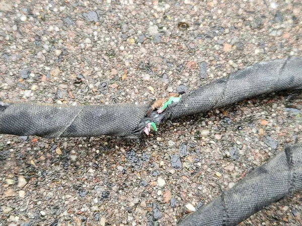 W177 AMG PDC Kabel Framsidan 6xSensor Radar Komplett A1775402729 image 7