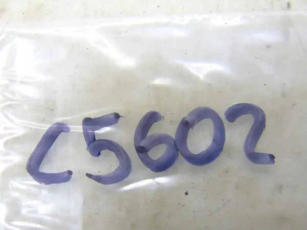 Audi A3 8P Airbag-kablage OEM 8P0971589Q image 3