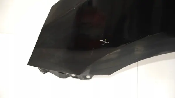 Para-lamas dianteiro esquerdo OEM 360179868 para Hyundai IX35 image 5