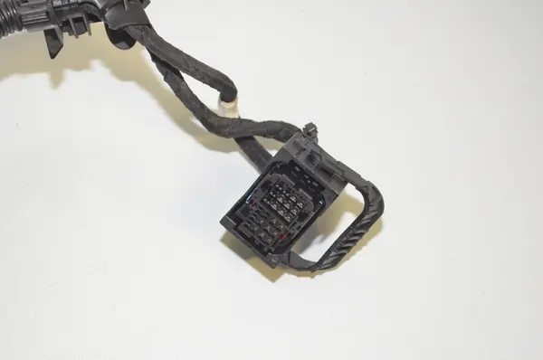 Fils d'injecteur BMW X1 (F48) 2.0L 2019 12518678962 image 3