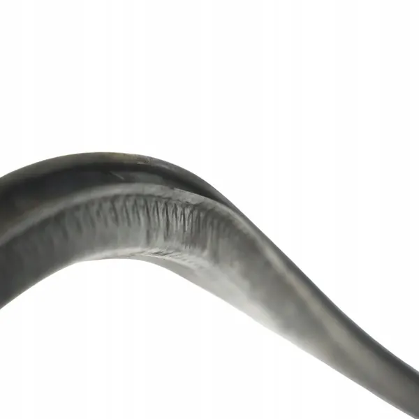 Vedação do Capô Audi TT 8J 8J0823723 image 9