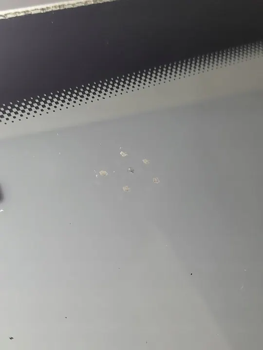 SUPERB II Frontscheibe mit Regensensor image 6