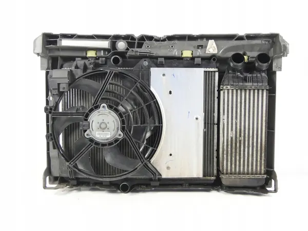 Supporto Radiatore Anteriore Citroen C3 Picasso 1.6 E-Hdi image 3