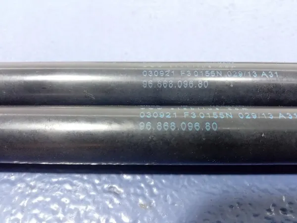 Framhuvudgasdämpare Citroen DS5 9686809680 image 4