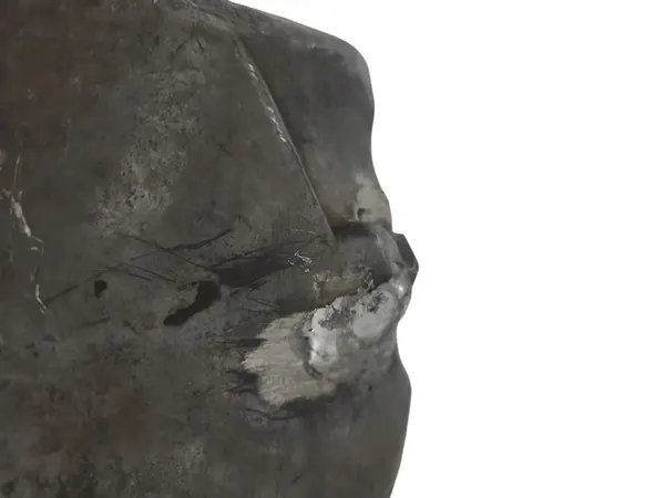 VW CRAFTER 2.5 TDI Oljetank 076103603 image 7