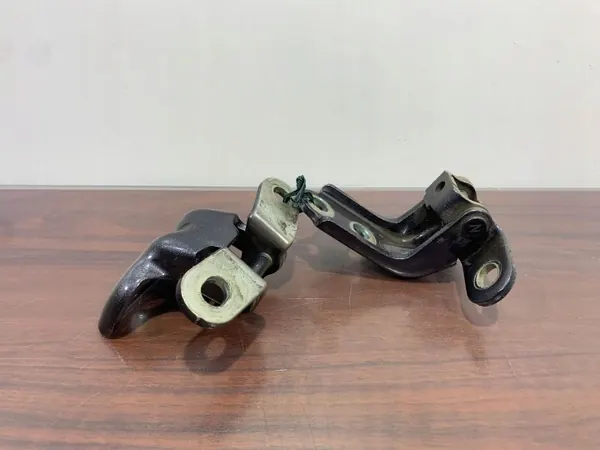 Bisagras puerta trasera Hyundai Ioniq OEM FBZ25352 image 3