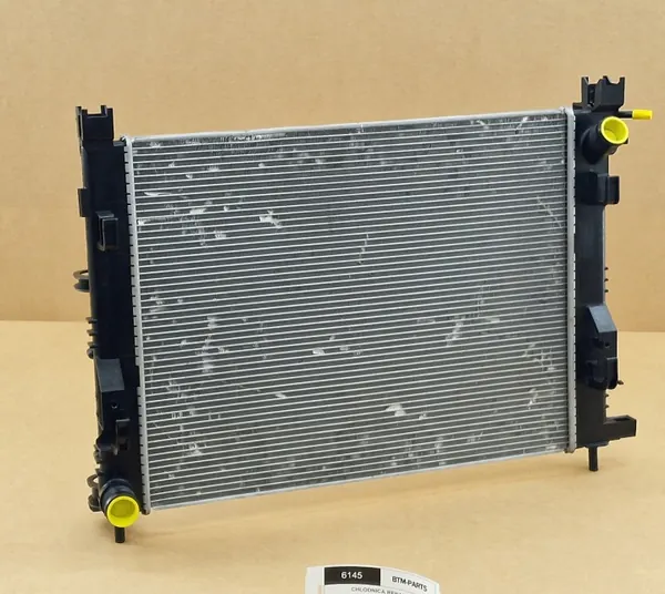 Radiateur d'eau OEM 214107326R pour Dacia/Renault image 2