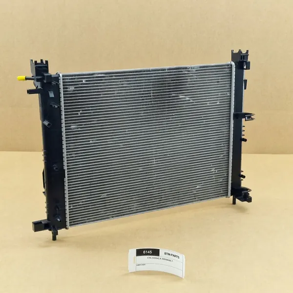 Radiateur d'eau OEM 214107326R pour Dacia/Renault image 6