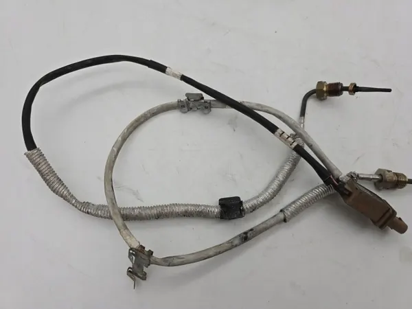 Sensor Temp Gases Escape Seat Ateca 06Q919519R image 3