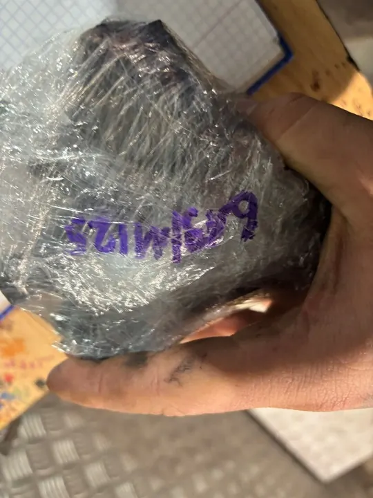 Bosch Diesel Injectiepomp voor Auto's en Vrachtwagens OEM image 6