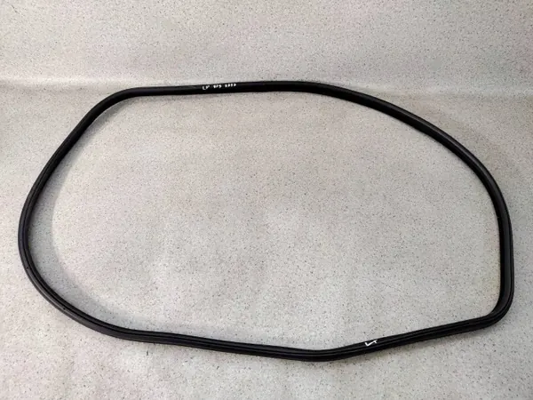 OEM 7323081AOP123 voordeur afdichting links BMW 3 GT F34 image 2