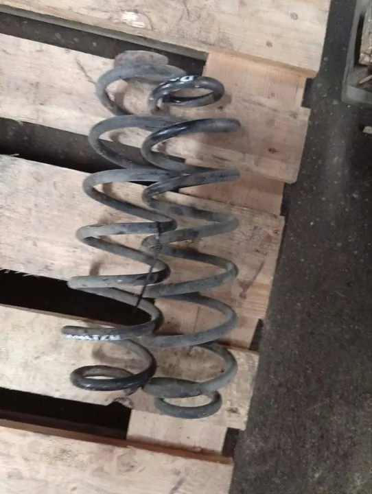 Skoda Roomster (5J) 2008 Molla posteriore image 2