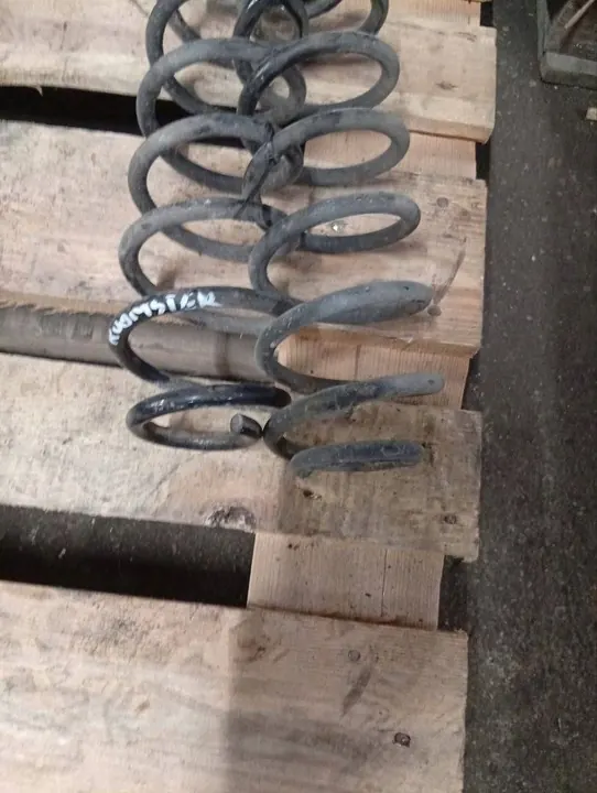 Skoda Roomster (5J) 2008 Molla posteriore image 3