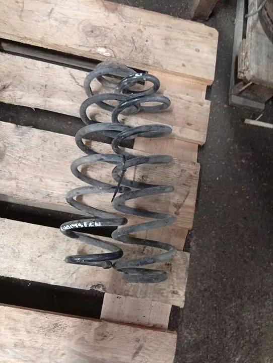 Skoda Roomster (5J) 2008 Molla posteriore image 4